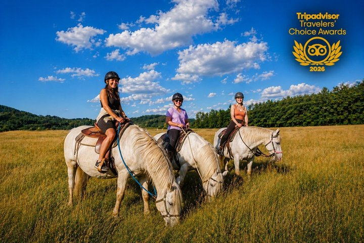 Horseback Riding Tour in Bohemian Switzerland - Photo 1 of 8